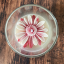 bougie jasmin marguerite.webp