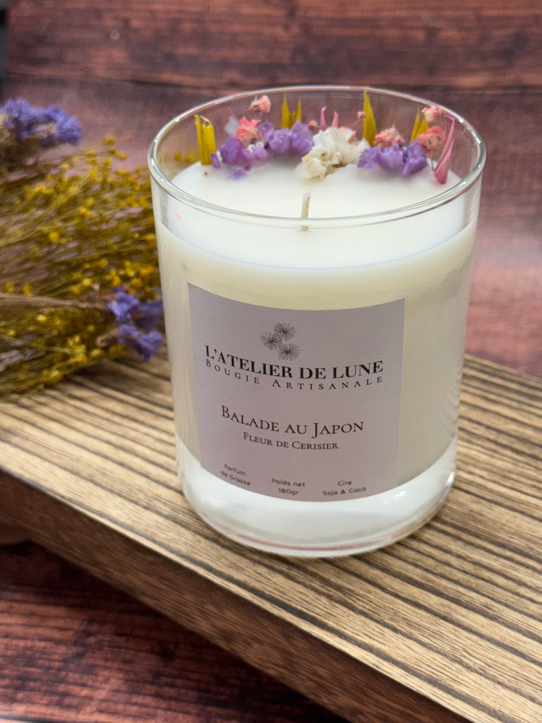 Balade au Japon (Fleur de Cerisier)