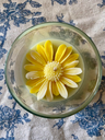 Marguerite (Citron Vert)