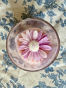 Marguerite (Pivoine) 