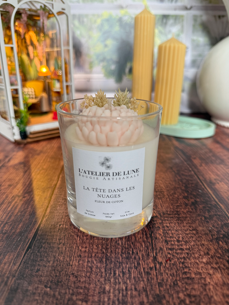La tête dans les nuages (fleur de coton)