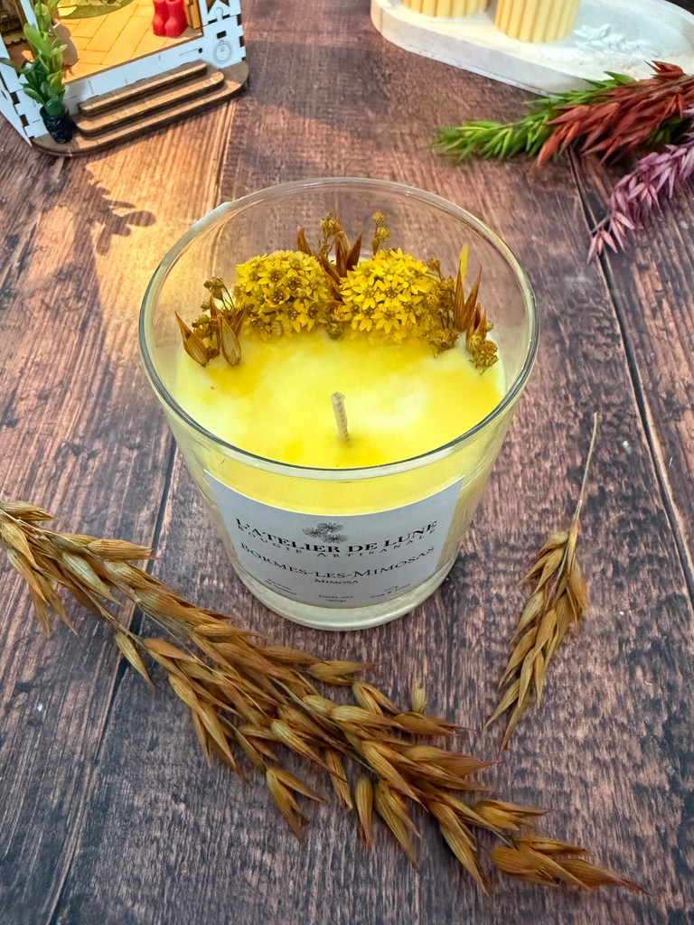 Bromes-les-Mimosas (Mimosa)