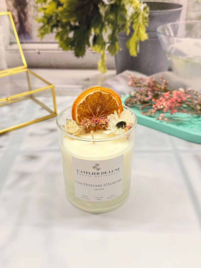 Une Histoire d’Agrume (Orange Cannelle)