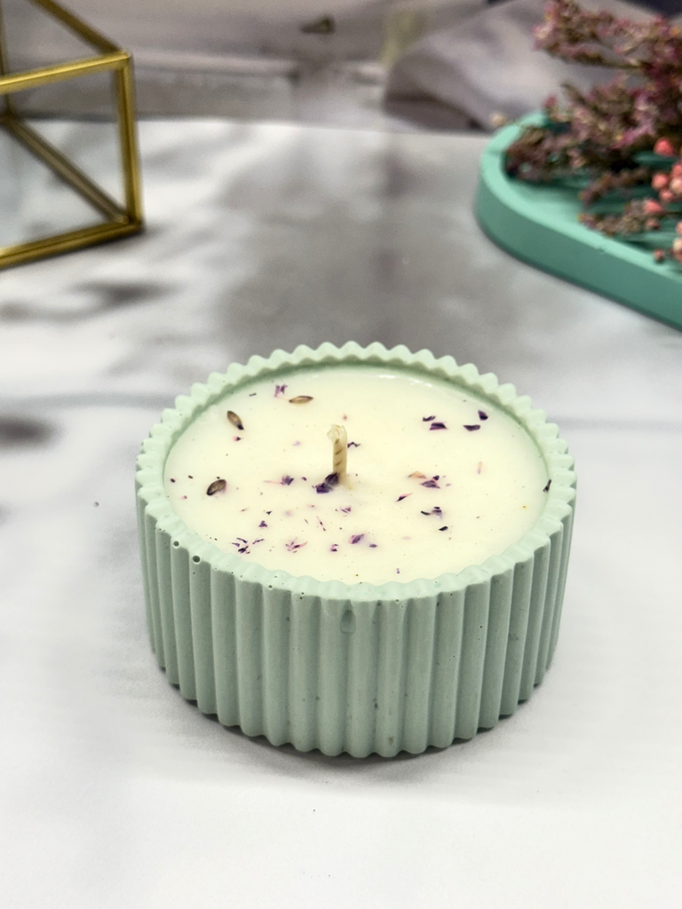 Color Candle (Figue)