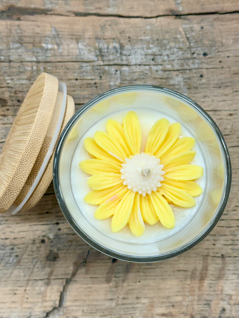 Marguerite (Mimosa)