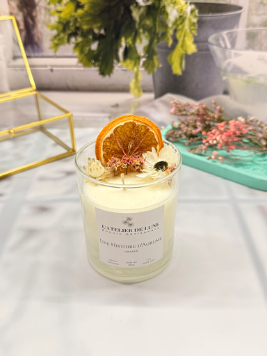 Une Histoire d’Agrume (Orange Cannelle)