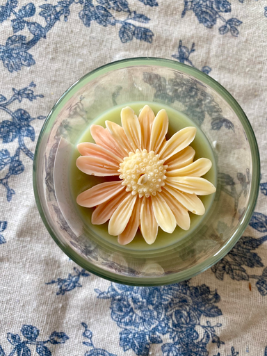 Marguerite (Jasmin)