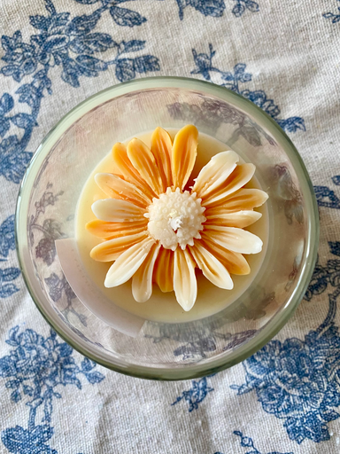 Marguerite (Melon)